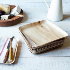 Verterra Large Compostable Wooden Plate – Set of 25 by Food52