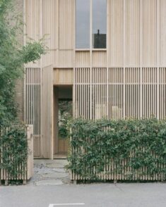 Ao-ft inserts timber-clad home into London terrace