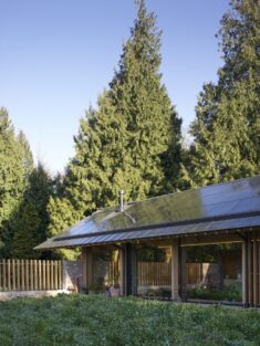 John Pardey Architects completes home around New Forest wildflower garden